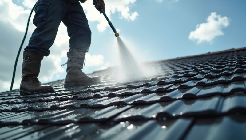 Local Roof Cleaning pros at work