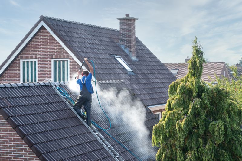 spade roof cleaning
