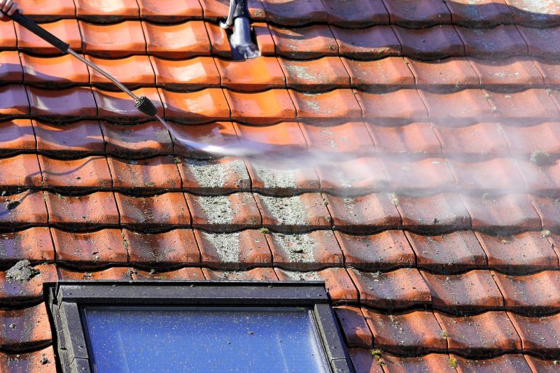 spade roof cleaning