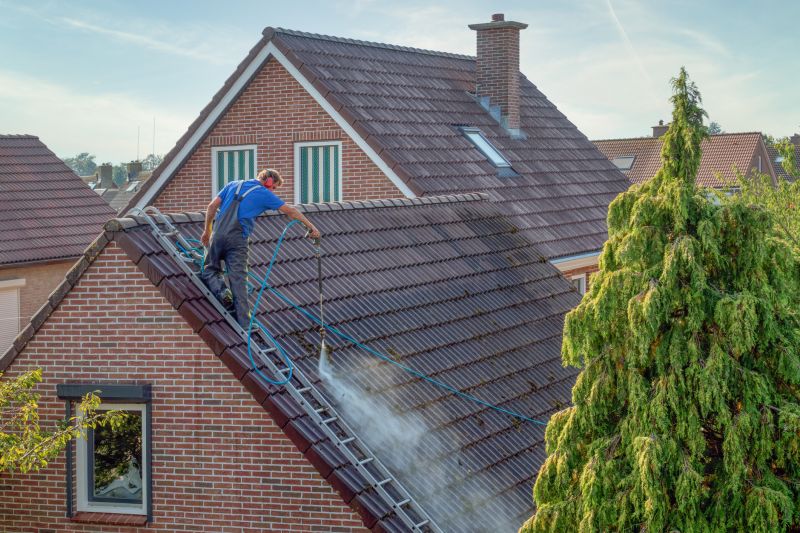 Spade Roof Cleaning