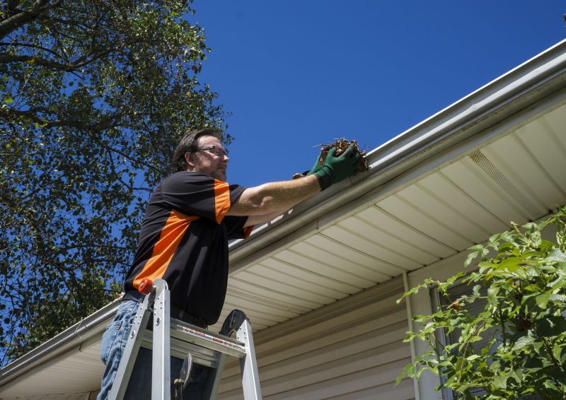 Residential Gutter Maintenance