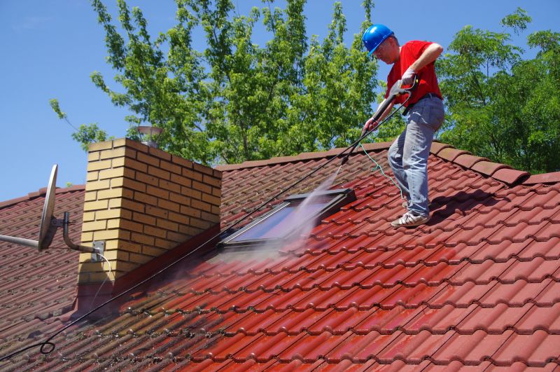 spade roof cleaning